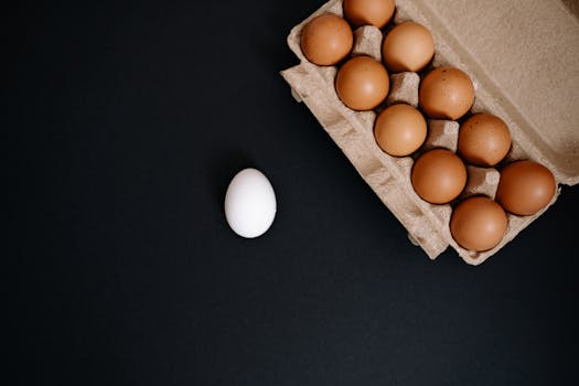 image of a sleek egg cooker in a kitchen